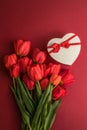 Bouquet of red  tulips and gift heart box isolated on red background . Spring flowers. Greeting card for Birthday, Woman, Mother` Royalty Free Stock Photo