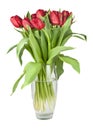 Bouquet of red tulips in a glass vase