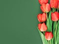 Bouquet of red tulips on green background with space for text