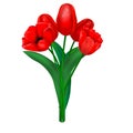 Bouquet of red tulips isolated