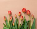 Bouquet of red tulips with kraft green envelope  on a natural beige color background. Mother`s Day, Easter, Valentine`s Day. Royalty Free Stock Photo