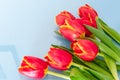 Bouquet of Red Tulips on a Light Background