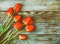 Bouquet of red tulips on light blue wooden retro grunge background with copy space Royalty Free Stock Photo