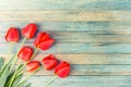 Bouquet of red tulips on light blue wooden retro grunge background with copy space Royalty Free Stock Photo