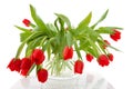 Bouquet of red tulips in vase Royalty Free Stock Photo