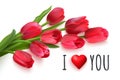 Horizontal Valentines Day card with red tulips Royalty Free Stock Photo