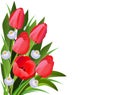 Bouquet of red tulips and white crocuses.