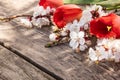 A bouquet of red tulips and white flowers on a background of wooden, old boards. Place for text. The concept of spring has come Royalty Free Stock Photo