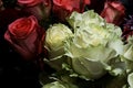 Bouquet of red and white roses arranged in flower shop Royalty Free Stock Photo