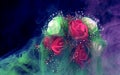 Bouquet of red and white roses in a green and purple fog Royalty Free Stock Photo