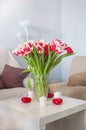 A bouquet of red and white tulips in a glass vase on a white table Royalty Free Stock Photo