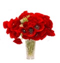 Bouquet of red wild flowers of Papaver rhoeas close up Royalty Free Stock Photo