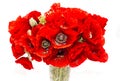 Bouquet of red wild flowers of Papaver rhoeas, corn field poppy Royalty Free Stock Photo