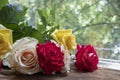 Bouquet of red, yellow and cream roses. On a wooden background, which stand on the windowsill. Window. Summer flowers Royalty Free Stock Photo