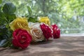 Bouquet of red, yellow and cream roses. On a wooden background, which stand on the windowsill. Window. Summer flowers Royalty Free Stock Photo