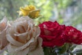 Bouquet of red, yellow and cream roses. On a wooden background, which stand on the windowsill. Window. Summer flowers Royalty Free Stock Photo