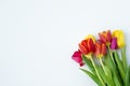 bouquet of red, yellow, purple tulips on a white background. Royalty Free Stock Photo