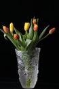 Bouquet of red and yellow Tulip flowers in glass crystal vase on black background, vertical, copy space, selective focus Royalty Free Stock Photo