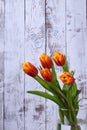 Bouquet of red and yellow tulips against the white background Royalty Free Stock Photo