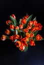 Bouquet of red-yellow tulips on a black background. Royalty Free Stock Photo