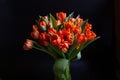 Bouquet of red-yellow tulips on a black background. Close-up Royalty Free Stock Photo