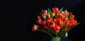 Bouquet of red-yellow tulips on a black background. Copy space for text. Royalty Free Stock Photo