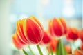 A bouquet of red yellow tulips with fresh green leaves in soft lights at blur background in a vase on table at sunny spring day Royalty Free Stock Photo