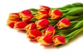 Bouquet of red-yellow tulips isolated on white background Royalty Free Stock Photo