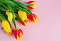 Bouquet of red and yellow tulips on pastel pink background. Royalty Free Stock Photo