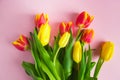 Bouquet of red and yellow tulips on pastel pink background. Royalty Free Stock Photo