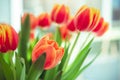 A bouquet of red yellow tulips in a vase on table at sunny spring day on bright flower background Royalty Free Stock Photo