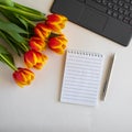 Bouquet of red and yellow tulips on white paper background with a laptop, spiral notebook and pen