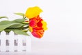 Bouquet of red and yellow tulips on white wooden background Royalty Free Stock Photo