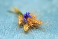 Bouquet of ripe grass and cornflower on the wooden table Royalty Free Stock Photo