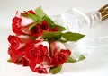 Bouquet of Roses Royalty Free Stock Photo