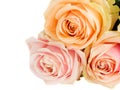 Bouquet of roses Royalty Free Stock Photo