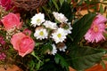 Roses, baby's breath and motherwort