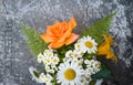 Bouquet of roses, chamomiles and daylilies. Royalty Free Stock Photo