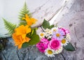 Bouquet of roses, chamomiles and daylilies. Royalty Free Stock Photo