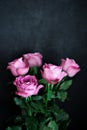 Bouquet rose on dark background Valentine`s Day birthday women`s Day concept