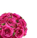 Bouquet of Roses Flowers Festive Congratulation Best Regards Con