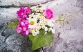 Bouquet of roses, geranium, daisies on a concrete wall with a crack