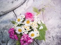 Bouquet of roses, geranium, daisies on a concrete wall with a crack