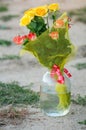 Bouquet of roses in a jar Royalty Free Stock Photo