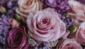 A bouquet of roses and other flowers, in a shade of pink, violet, close-up