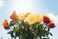 Bouquet of roses over sunny sky Royalty Free Stock Photo