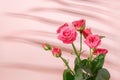 Bouquet of roses on pink background with shadows and light