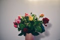 Bouquet of Roses in Vase. Wild Flowers from Garden