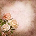 Bouquet of roses on a vintage background