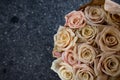 Bouquet of Roses in white, cream, blush pink Royalty Free Stock Photo